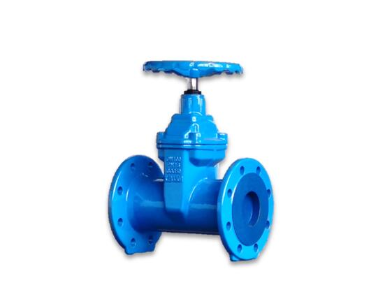 F5gatevalve..jpg F5gatevalve..jpg