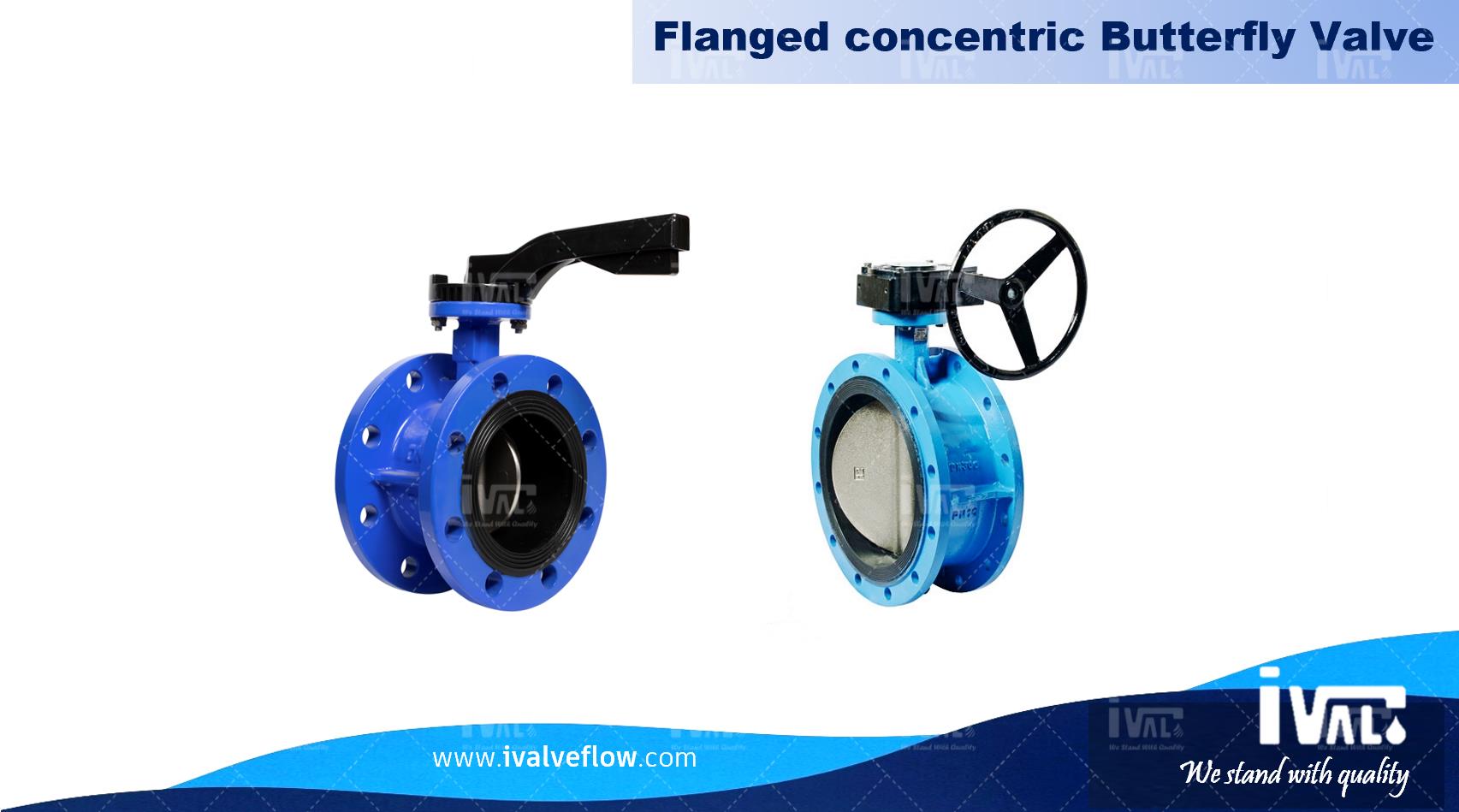 flangedBFV.jpg flangedBFV.jpg